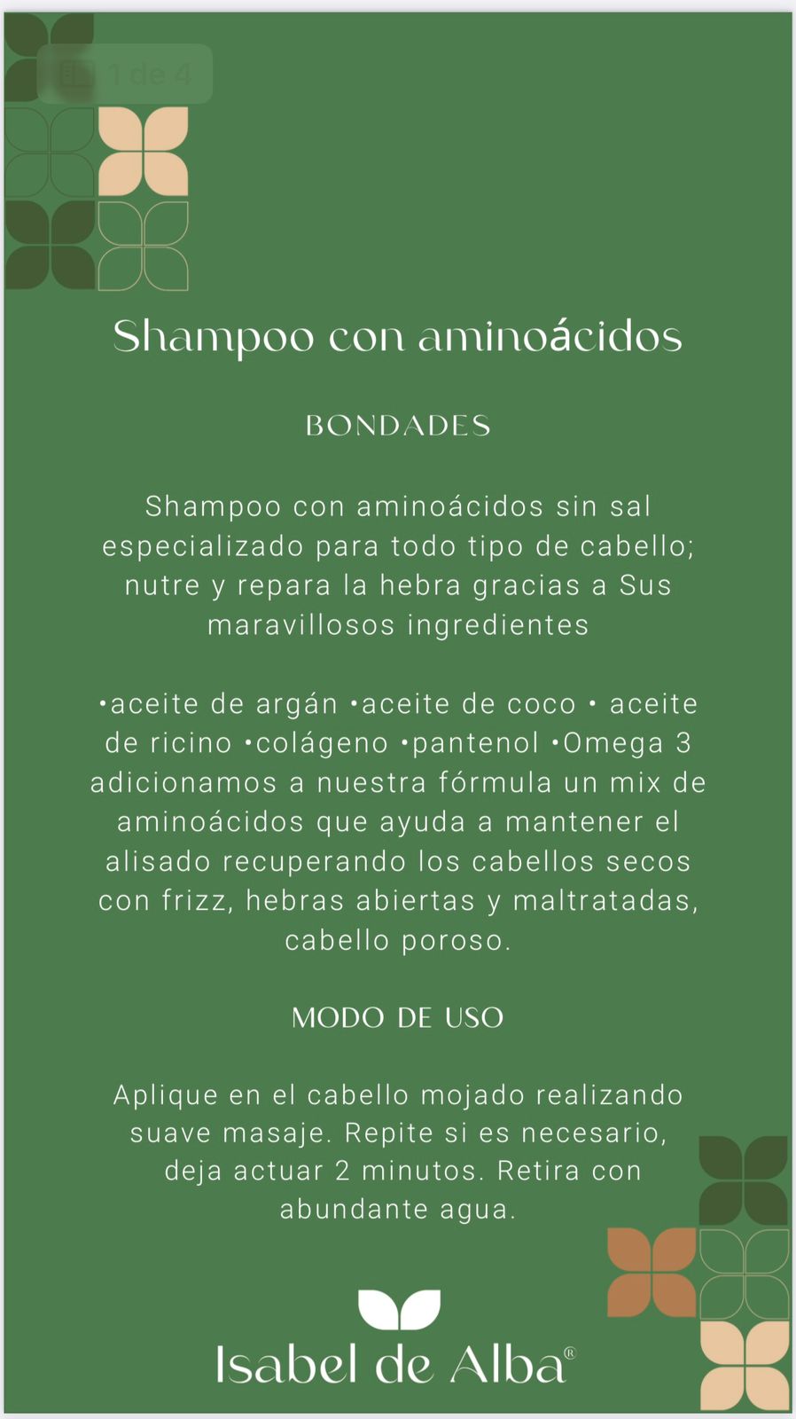 Isabel De Alba Perfect Hair Kit