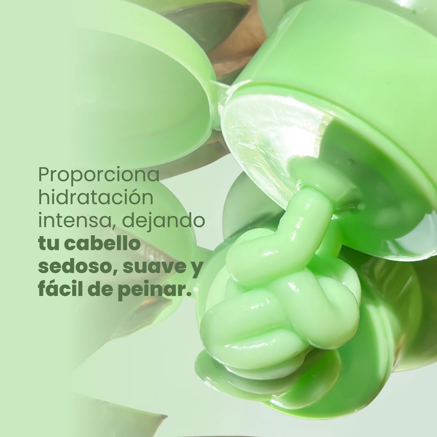 Anyeluz Argan & Aloe Vera Conditioner