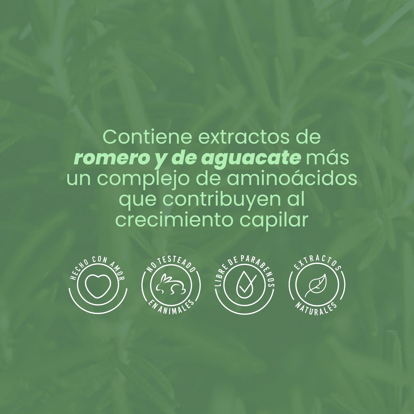 Anyeluz Rosemary Biotherapy