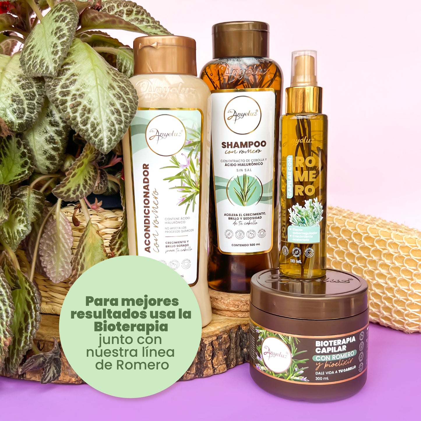 Anyeluz Rosemary Biotherapy