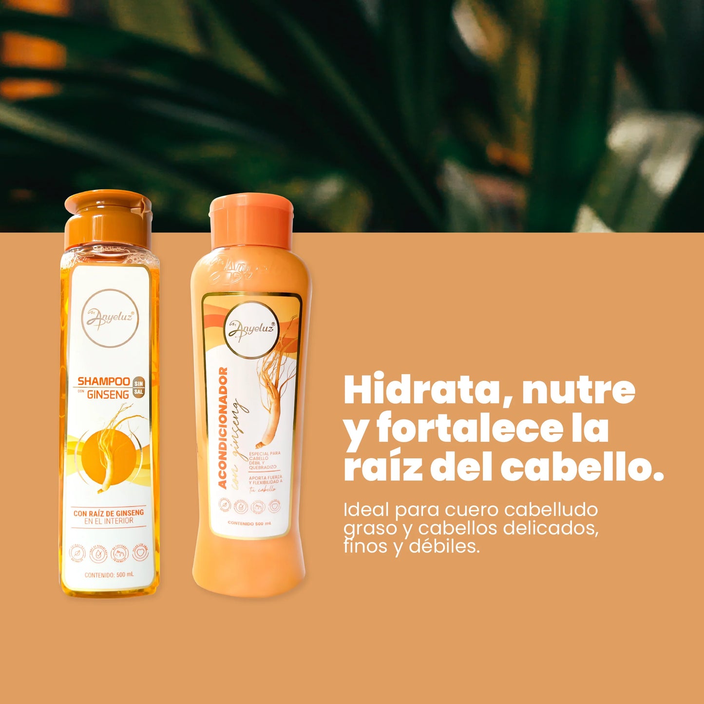 Anyeluz Ginseng Duo
