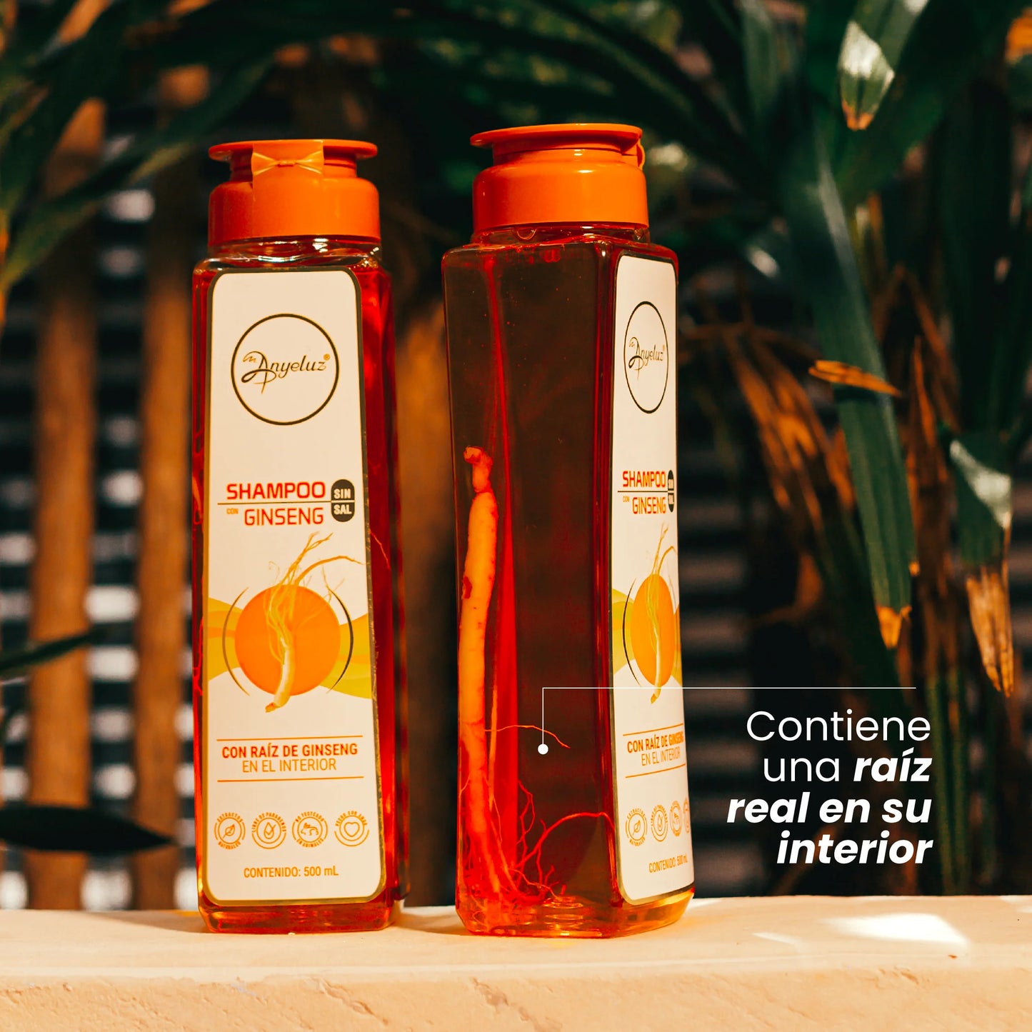 Anyeluz Ginseng Duo