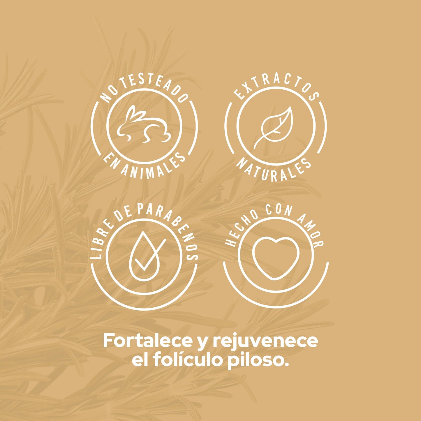 Anyeluz Tonic Potentializer Rosemary
