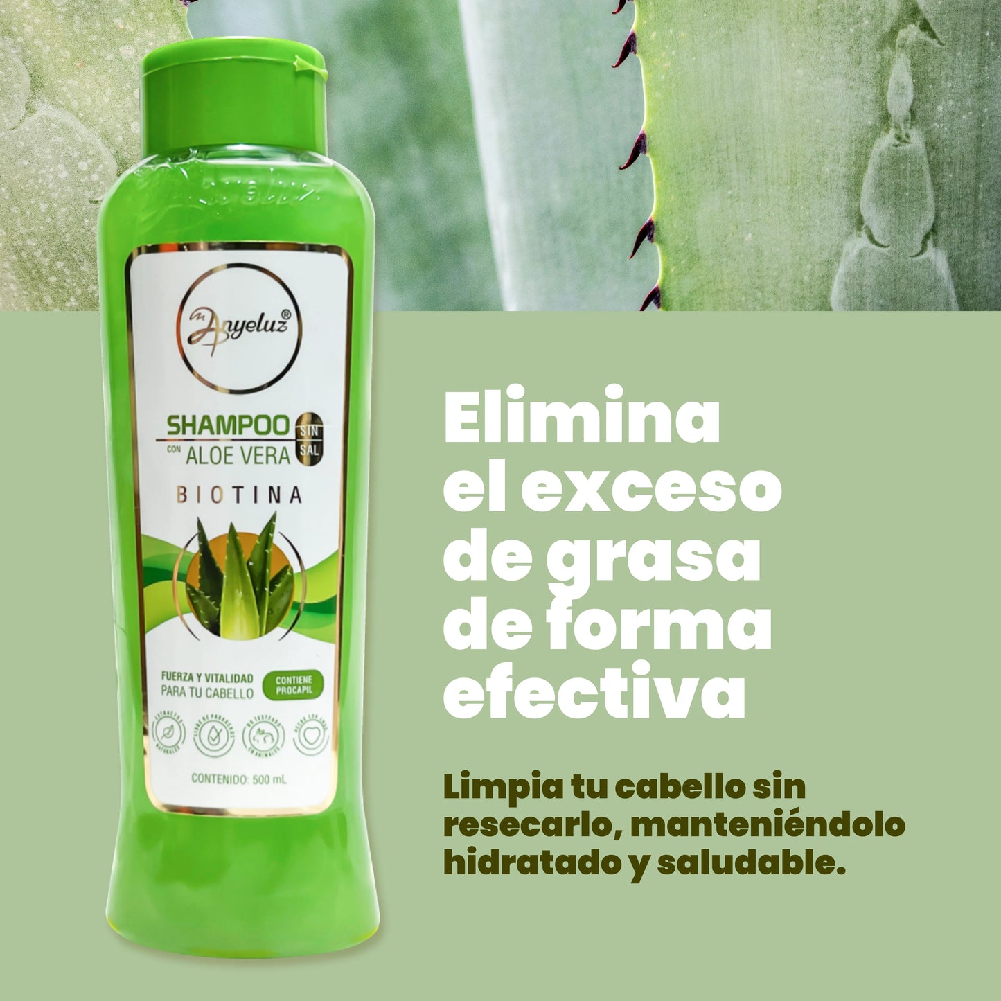 Anyeluz Aloe Vera Shampoo - Oily Hair