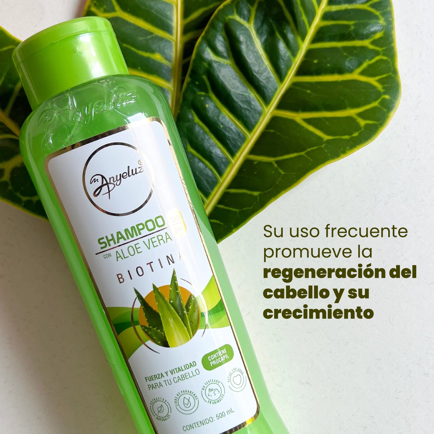 Anyeluz Aloe Vera Shampoo - Oily Hair