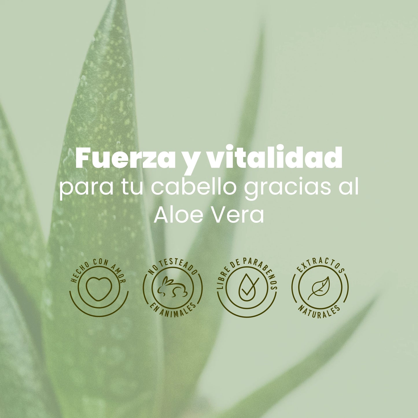 Anyeluz Aloe Vera Shampoo - Oily Hair