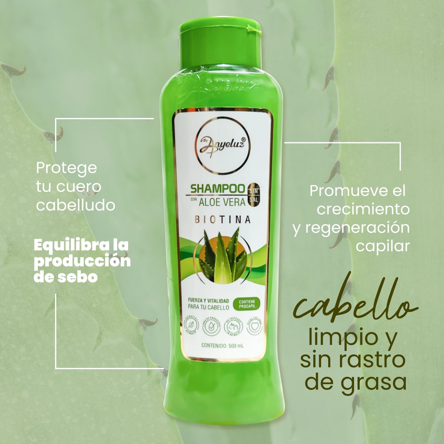 Anyeluz Aloe Vera Shampoo - Oily Hair