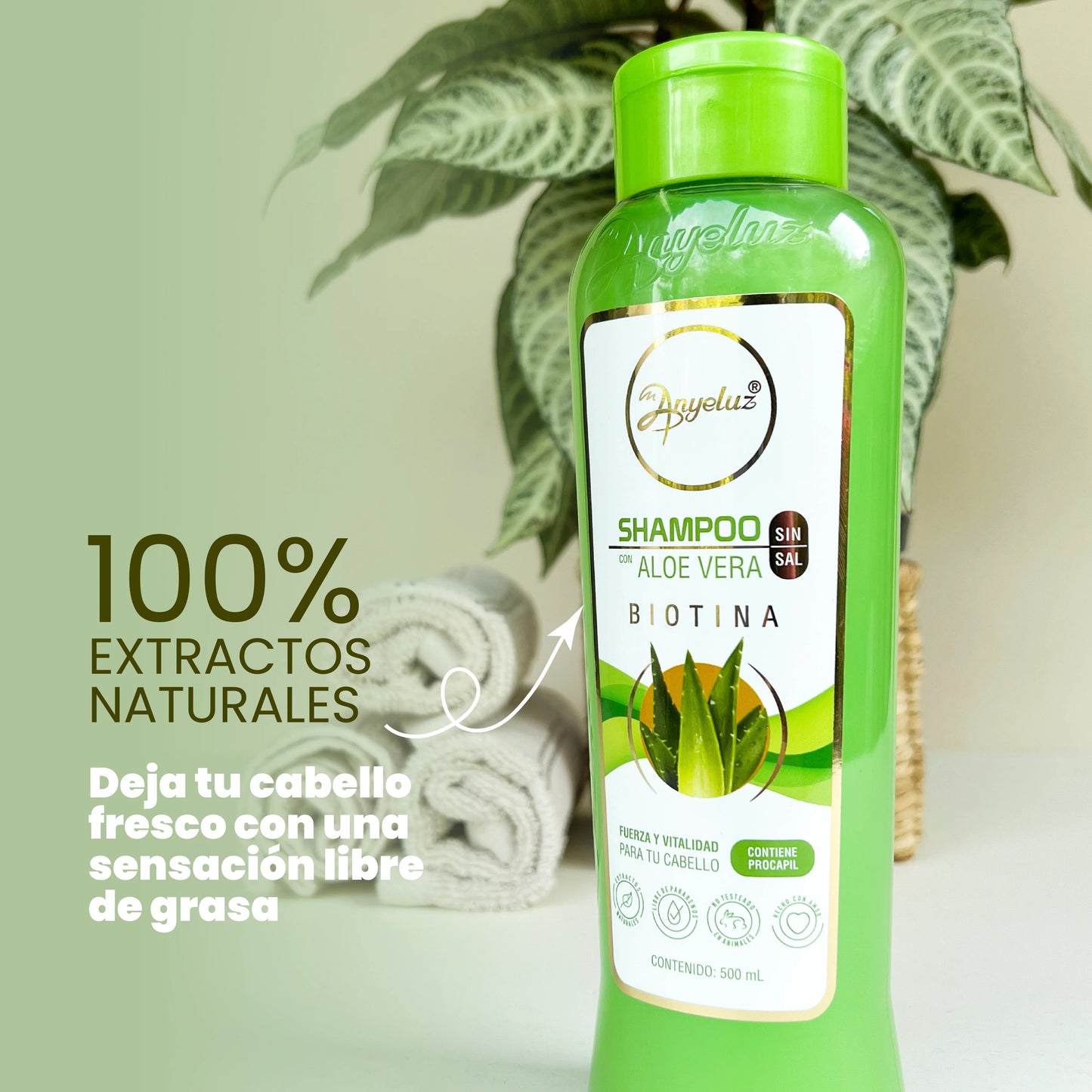 Anyeluz Aloe Vera Shampoo - Oily Hair