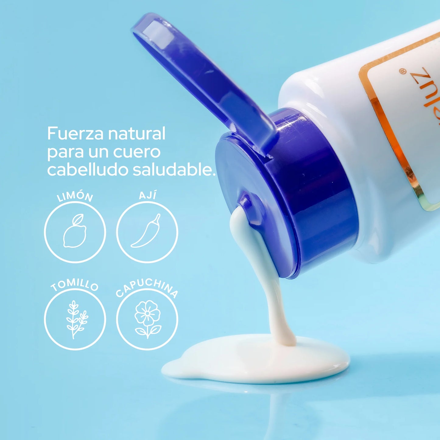 Anyeluz Dandruff Shampoo