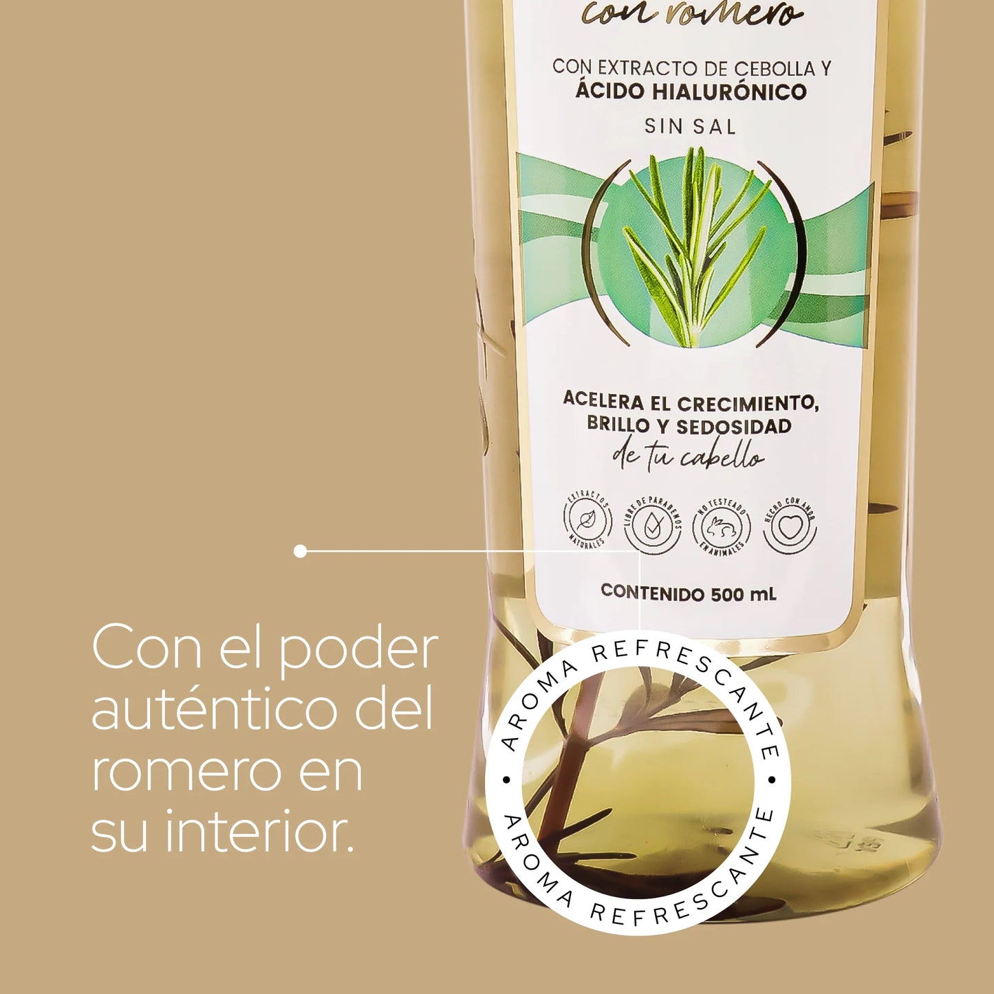 Anyeluz Rosemary Shampoo