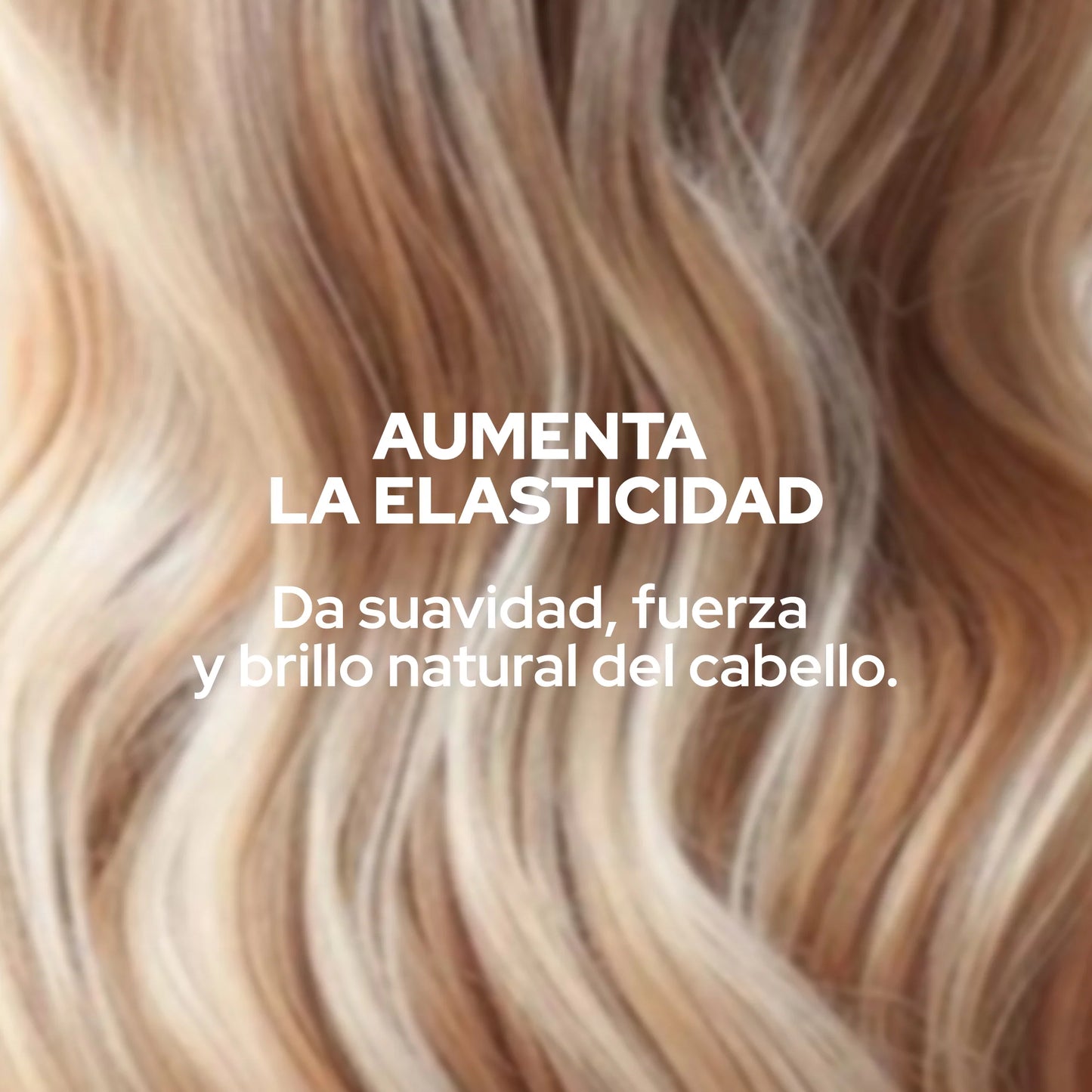 Anyeluz Silk Worm Shampoo - Dry Hair